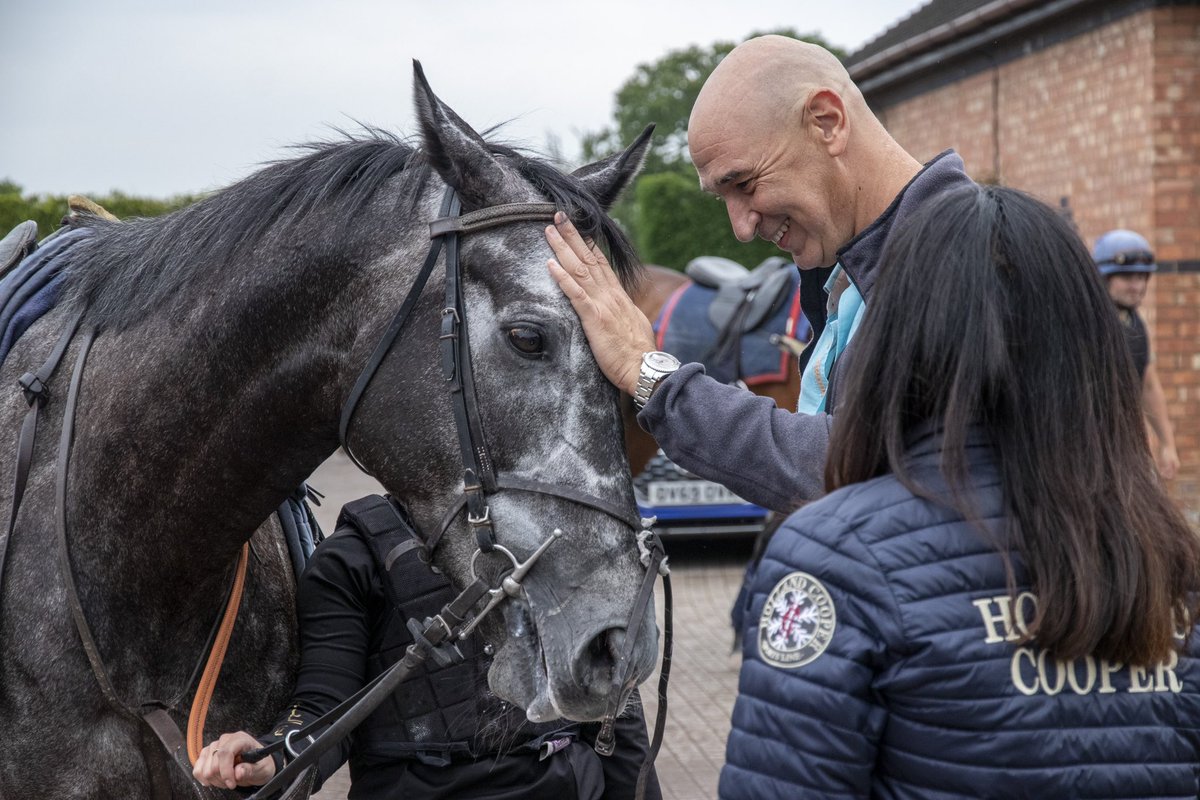 Sayed Hashish tweet media