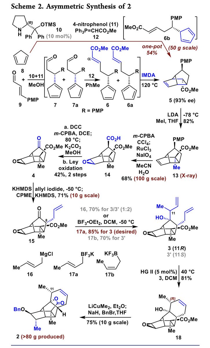 TotalSynthesis tweet picture