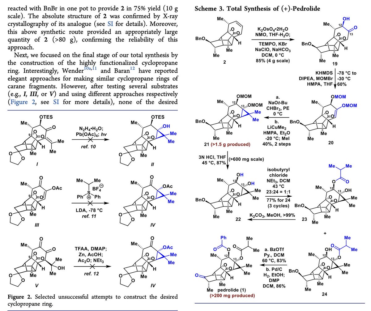 TotalSynthesis tweet picture