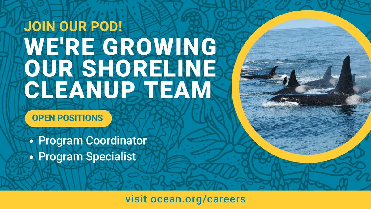 Are you looking to make a splash for ocean conservation? We're growing our Shoreline Cleanup team! We're currently looking for an amazing Program Coordinator and Program Specialist to join our pod. Visit bit.ly/3vyiAnZ to view the postings and apply today!