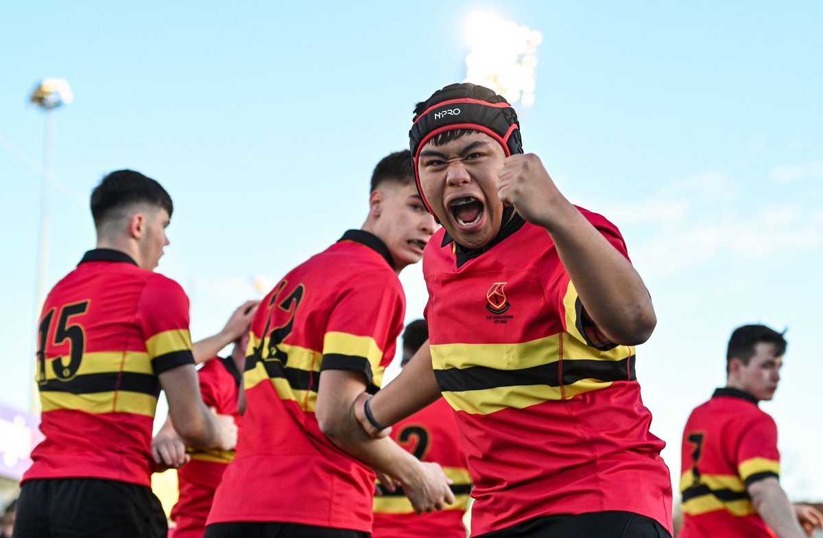 Leinster Domestic tweet media