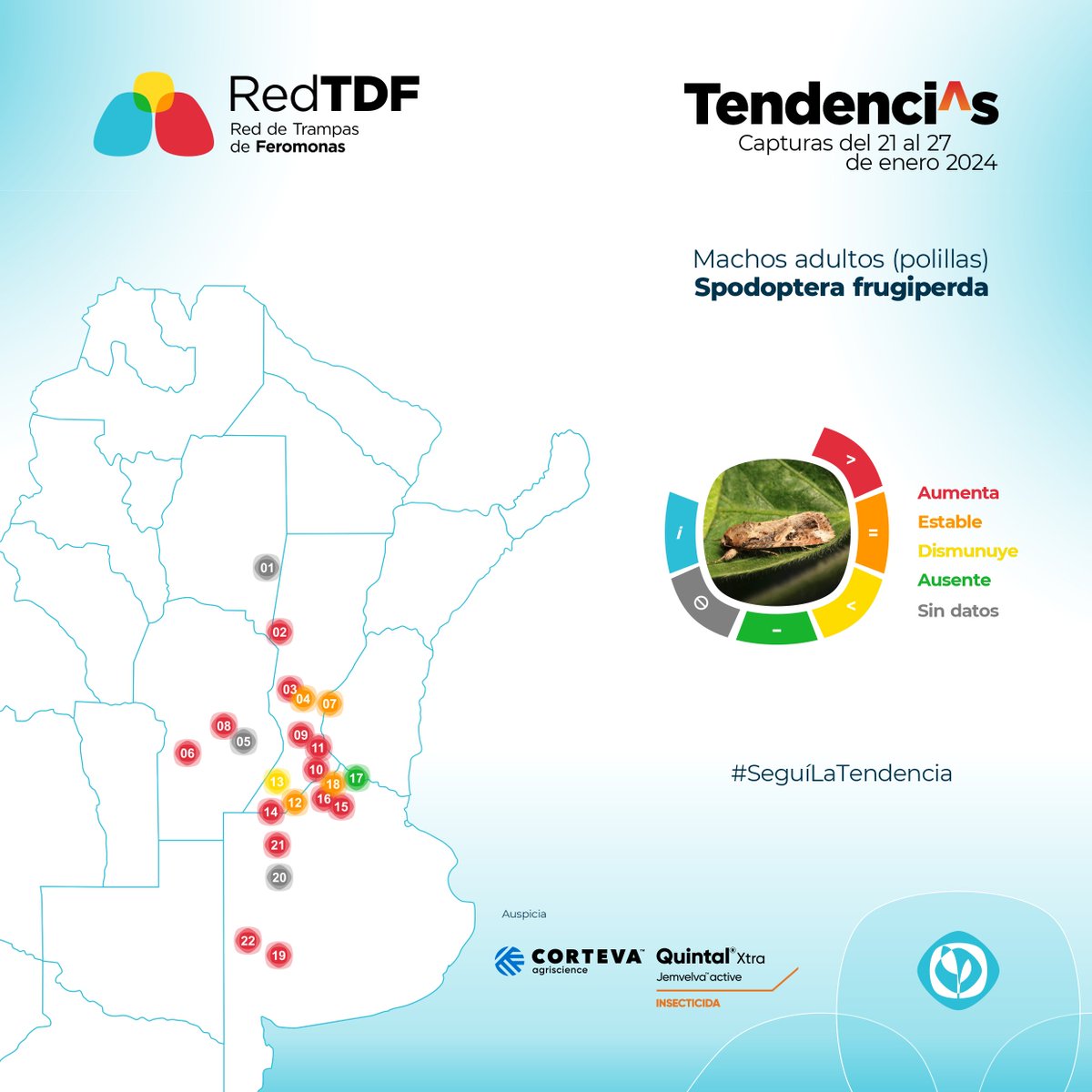 - ¿Hay Spdoptera frugiperda en las trampas de feromonas? 

- Hay Spodoptera frugiperda en las trampas de feronomas.

🦋 Así lo vemos en un nuevo reporte de #RedTDF. 

¿Y en el resto de las plagas? 🧵va mini hilo⬇️