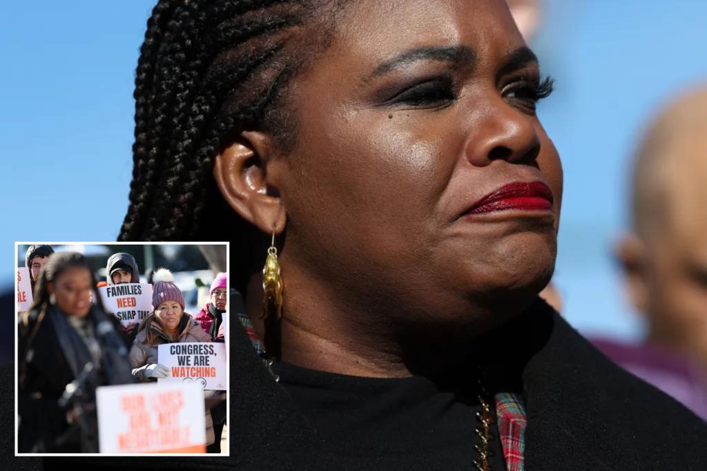 Justice Department investigating ‘Squad’ member Cori Bush over security funds: report trib.al/vTPMUsW