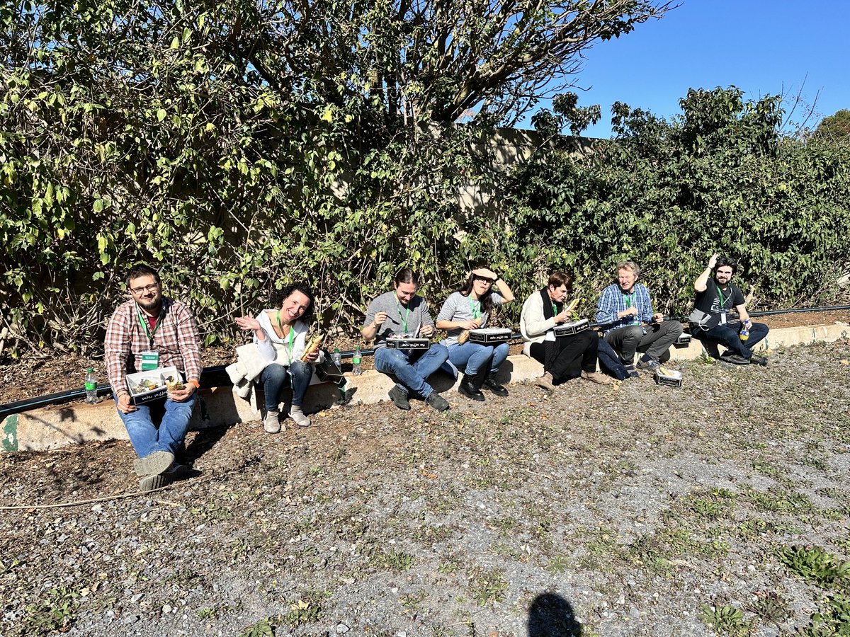 fillobax's tweet photo. Concentration to the MAX for the first day of the #AGENTproject datathon in #Rabat #Morocco preparing #Genebank data for genomic analysis ⁦@LeibnizIPK⁩ ⁦@INRAE_Intl⁩ ⁦@CropTrust⁩ ⁦@EU_Commission⁩ https://t.co/Yh4YoGiSqj
