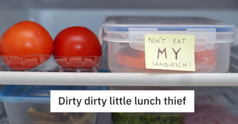DidYouKnowFacts's tweet photo. Dirty dirty little lunch thief