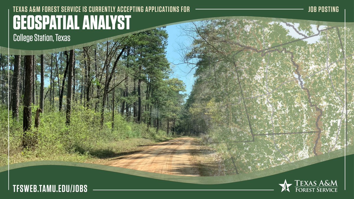 TXForestService's tweet photo. We’re #hiring a Geospatial Analyst to be an integral part of a dynamic team that delivers information and tools to support sustainable forestry in Texas and beyond.
Learn more and apply here: https://t.co/xFDGvYAU2E
#jobs #GIS #geospatial #gischat #geospatialjobs #GISjobs https://t.co/sniKvHEVga