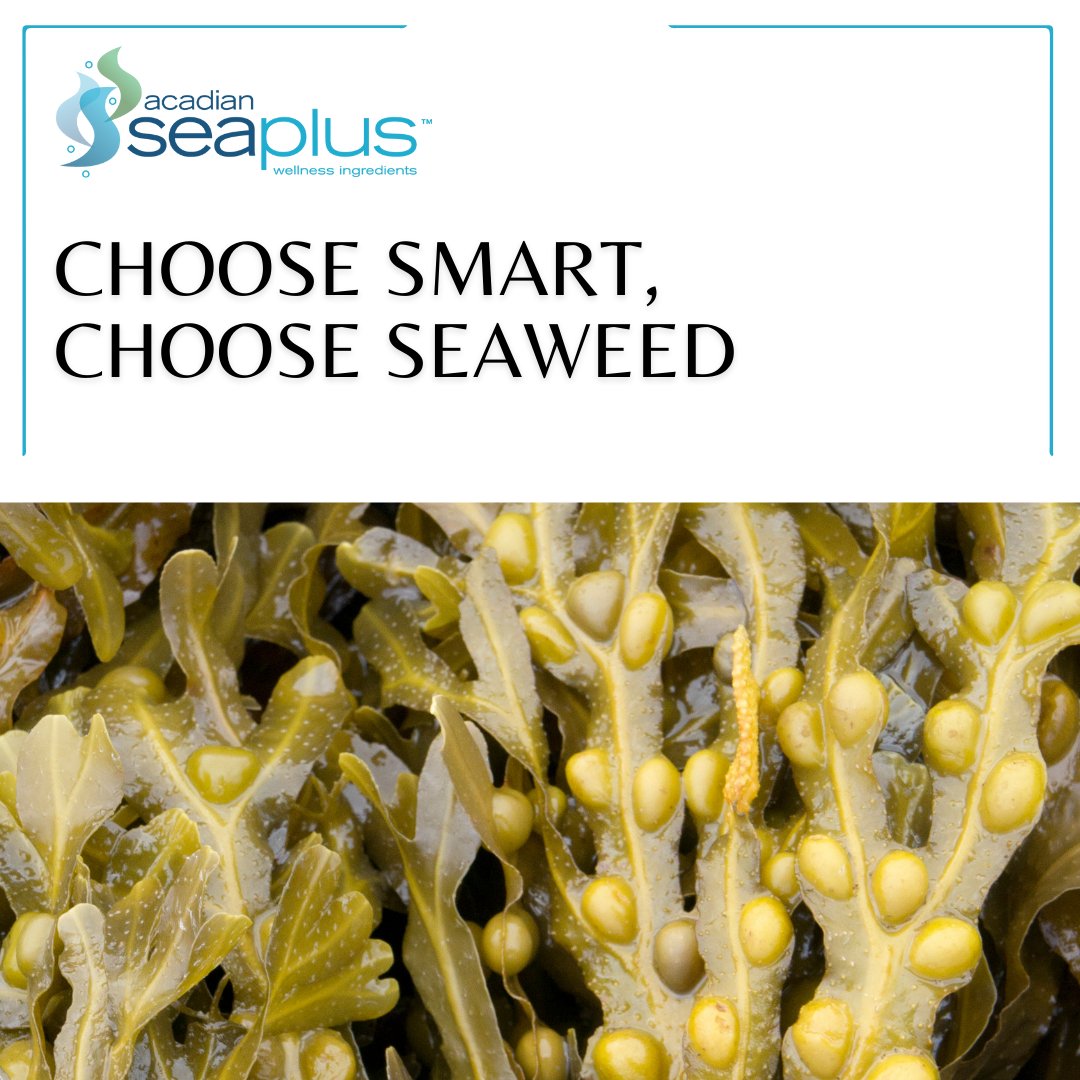 In a world of processed foods, seaweed might be your secret weapon for portion control. Explore the potential of fucoxanthin in Ascophyllum nodosum to curb cravings and limit caloric intake. acadianseaplus.com/health-benefit… #AcadianSeaPlus #HeathlyEating #AppetiteSuppression