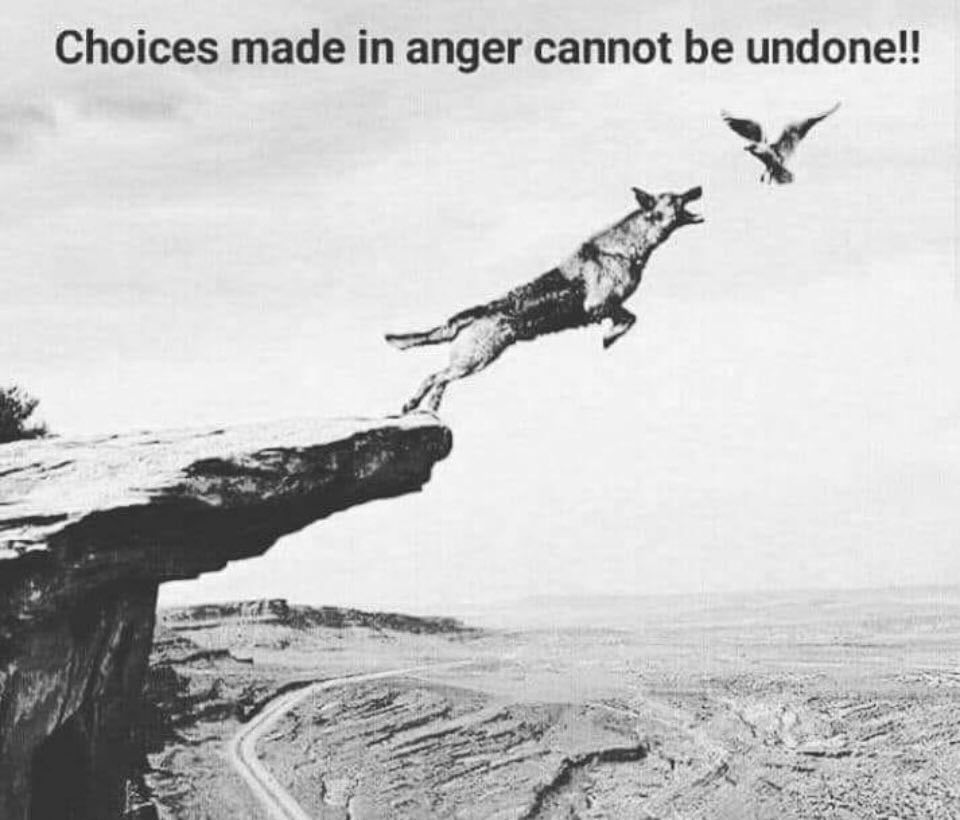 Jim Wolf tweet media