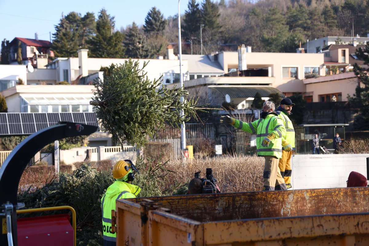 NYC Parks tweet media