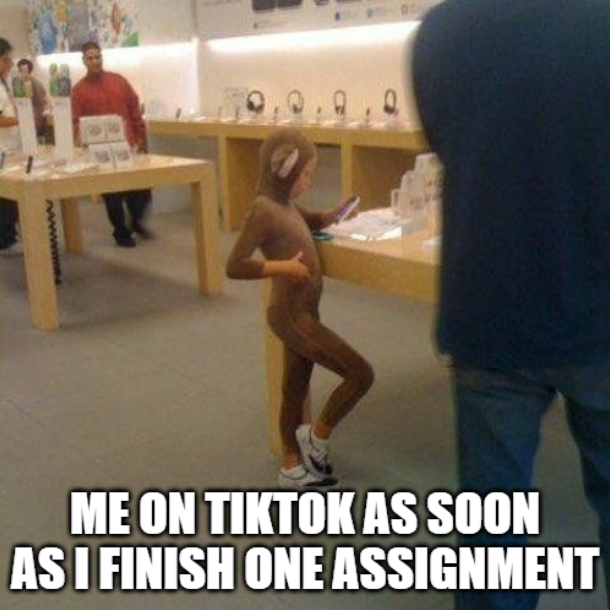 Boppy33's tweet photo. Probably me in a few minutes too #MCO335 #TikTokAddict https://t.co/vYtBtPLiCW