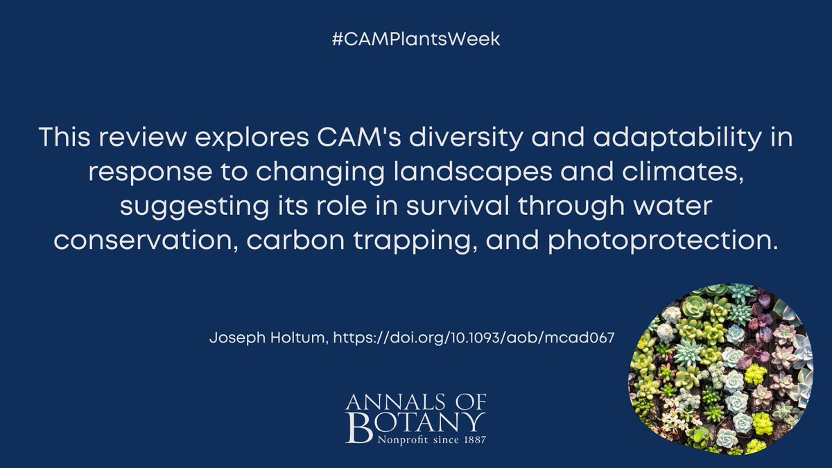 annbot's tweet photo. 🌵 #CAMPlantsWeek
The diverse diaspora of CAM: a pole-to-pole sketch by Joseph Holtum in @annbot
#openaccess article
👉 https://t.co/Wt8xVNvUMk
#PlantScience #Botany https://t.co/RiCdGjYW0o
