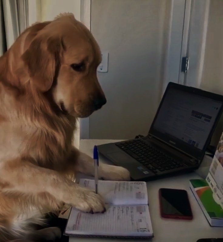 estudosdalia's tweet image. não tem dinheiro pra pagar cursinho? então vem aqui! 

— aulas e conteúdos gratuitos para você estudar para o enem pelo youtube | +50 canais (parte 1).