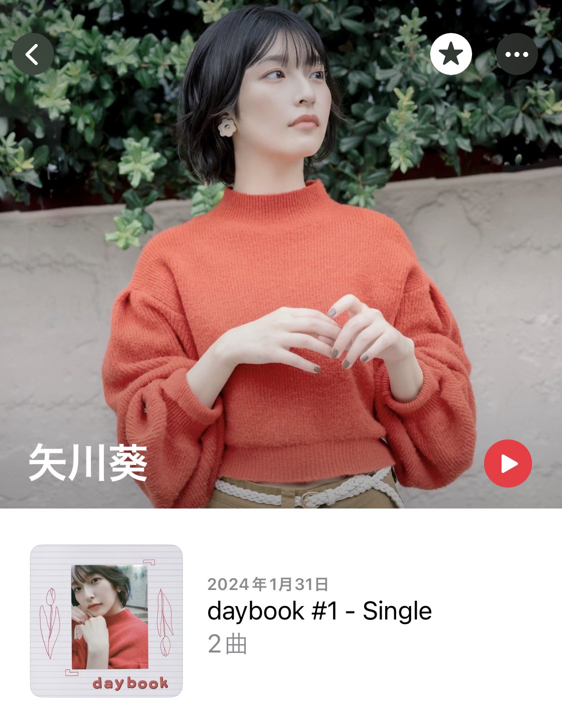 矢川葵 / daybook #2 矢川葵, Co-3oly / daybook #2 - OTOTOY