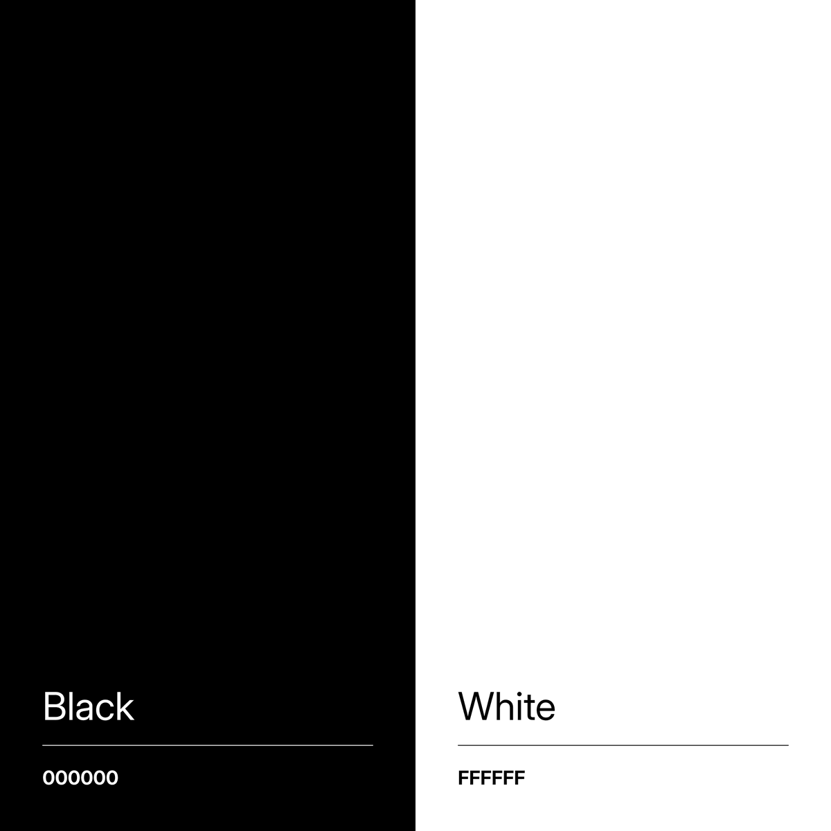 Black + White