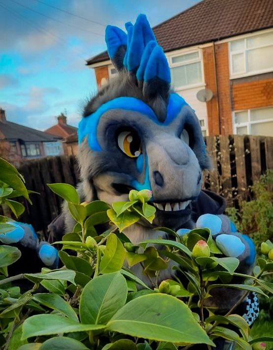 JawsNpawsUK's tweet photo. Pictures of the raptor mini partial suit that will be up for sale at @Scotiacon_Info this weekend! 👀🦖 https://t.co/mM0ucqYdUR
