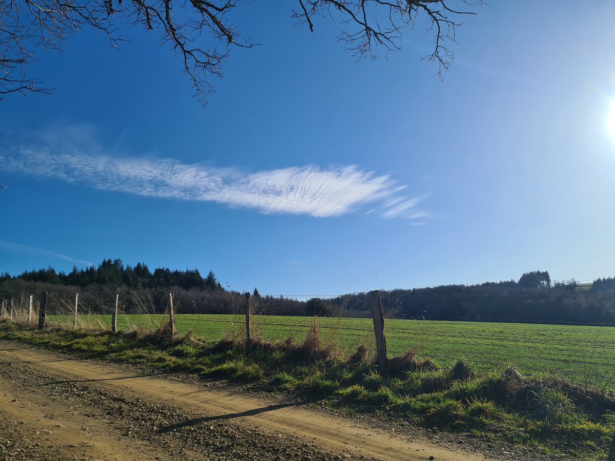 Heerlijkheyd's tweet image. Weer een prachtige dag vandaag (16 graden)!! Heel veel snoeihout gehakseld voor de paden  in de moestuin in wording.
#Frankrijk #puydedôme #30januari