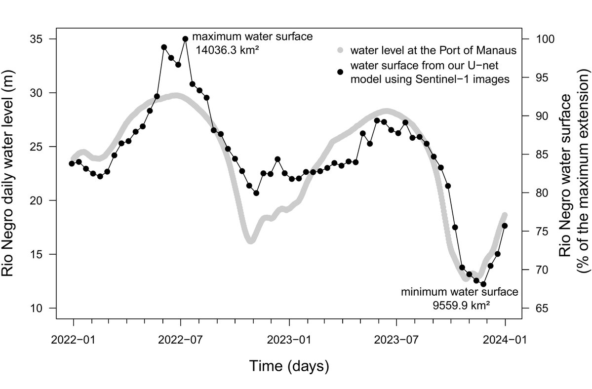 FabienWagner's tweet image. 🌍 Amazon's historic 2023 drought: Rio Negro River, one on the largest river of the Amazon, hits century-low by Oct/Nov😱Sentinel-1 SAR data &amp;amp; AI 🤖 reveal water surface decrease to 9,559.9 km², 68.1% of max. surface observed in 2022-23 🛰️🤖💧@CTrees_org arxiv.org/abs/2401.16393