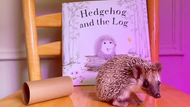 Julia Smith tweet media