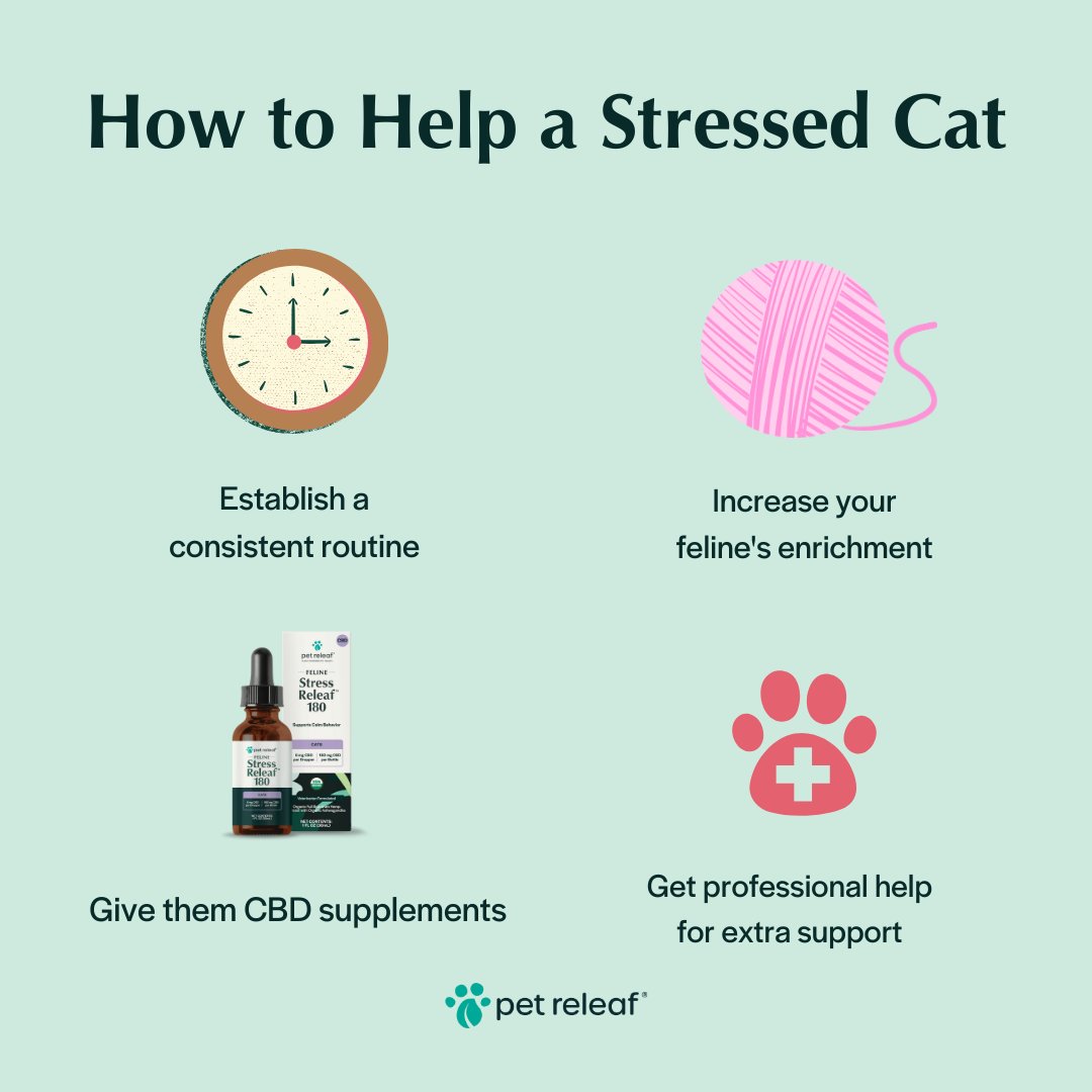 pet releaf tweet media