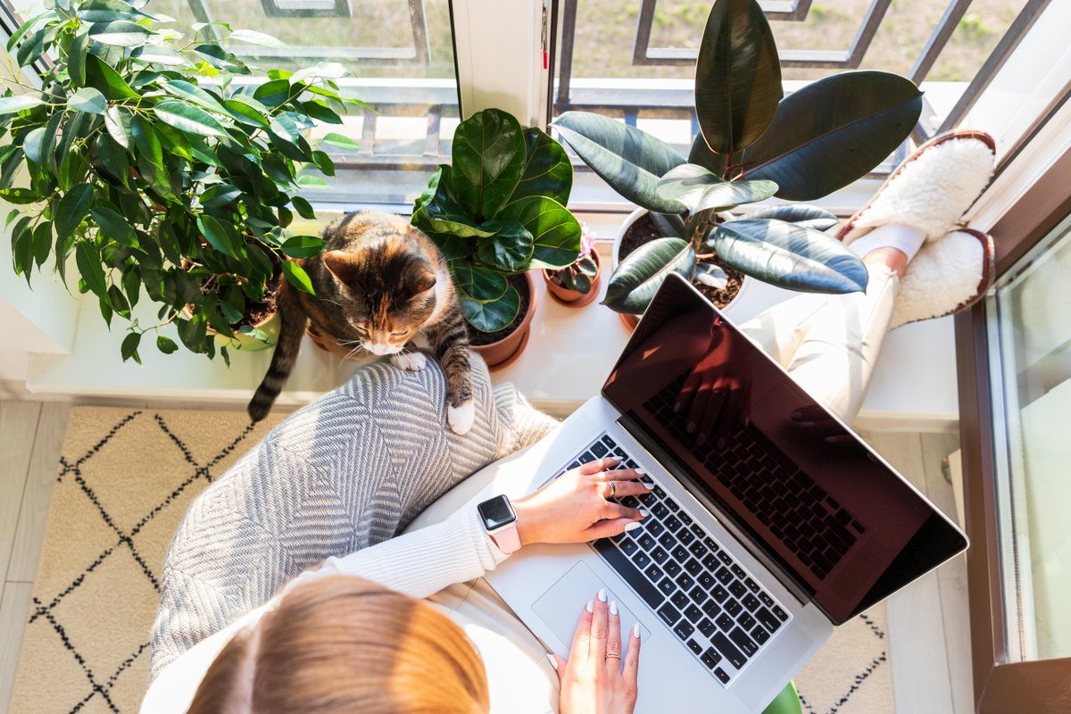 dreamagain67's tweet photo. If your job allows you to work from home, where's your favorite spot to set up your virtual office? Share a pic or describe your ideal workspace! https://t.co/yZUGZ2Opks