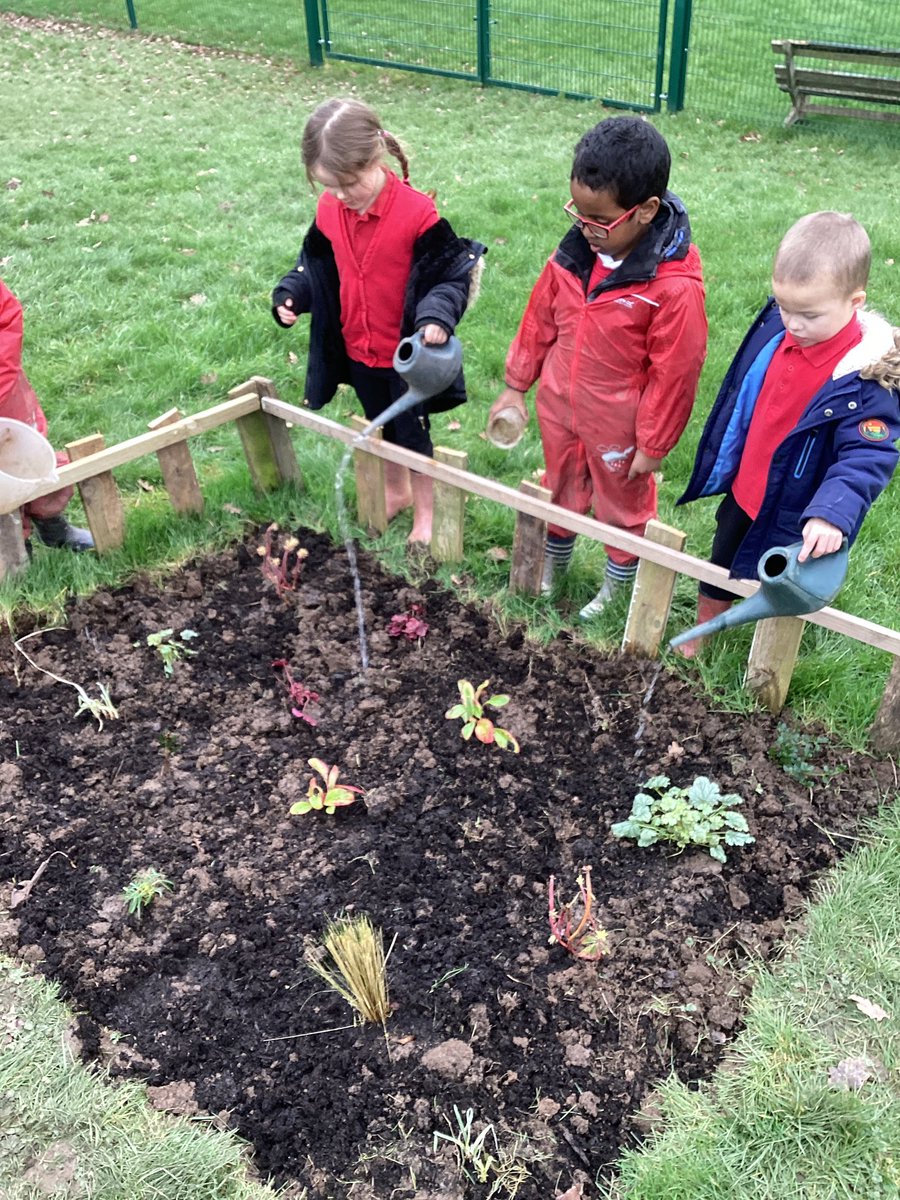 FVA_EYFS's tweet photo. Reception have been busy looking after our new plants. Thank you @AvonGardenTrust https://t.co/765W60LrJg