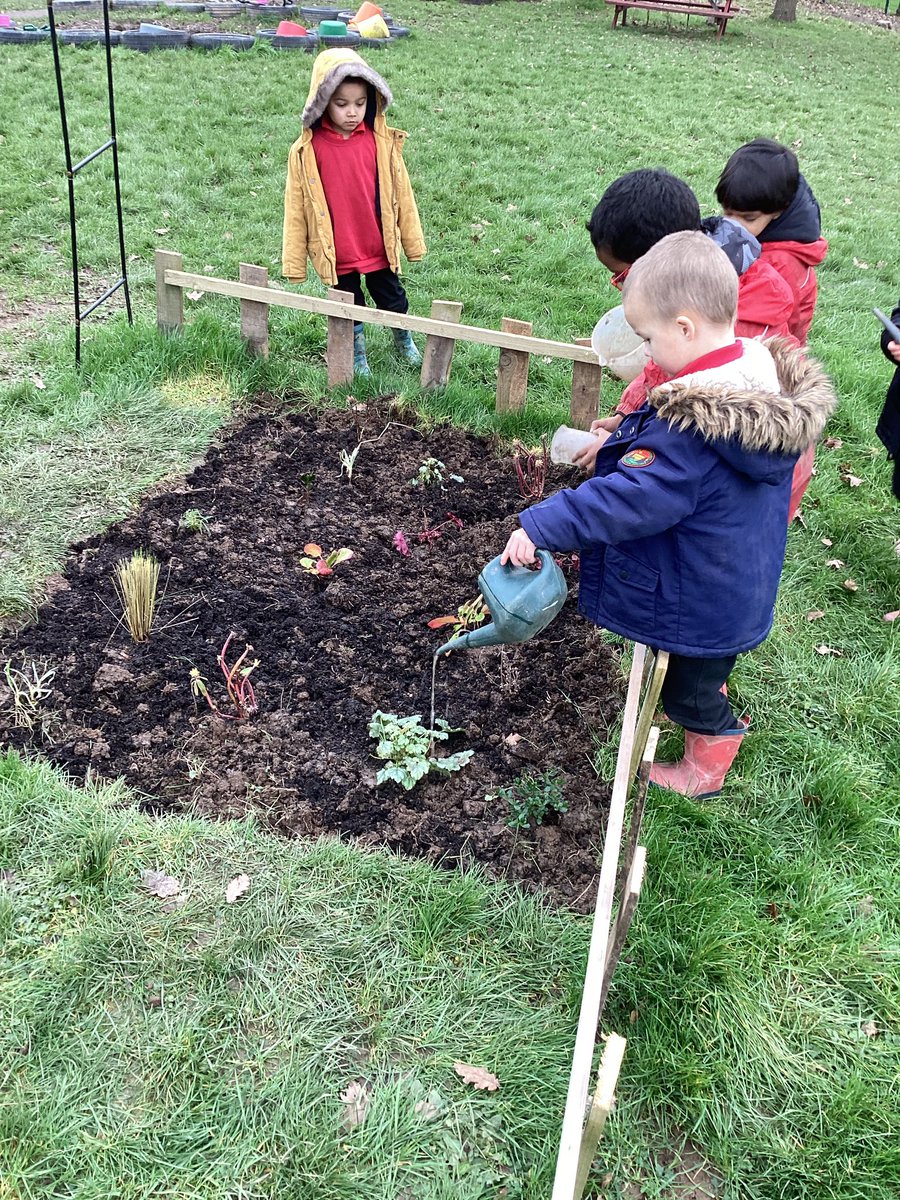 FVA_EYFS's tweet photo. Reception have been busy looking after our new plants. Thank you @AvonGardenTrust https://t.co/765W60LrJg