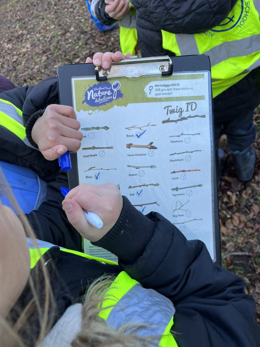 Forest School ACE tweet media