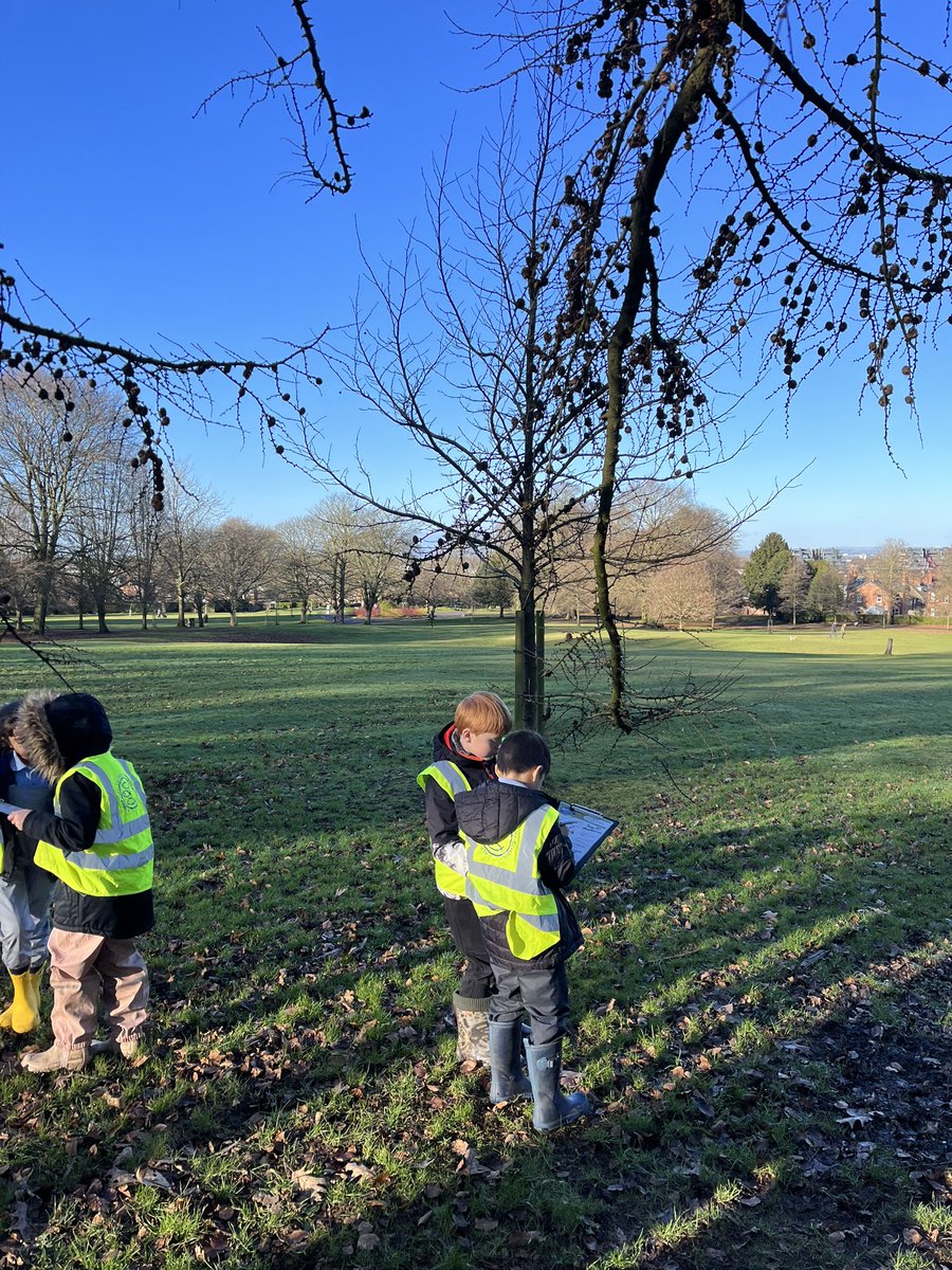 Forest School ACE tweet media