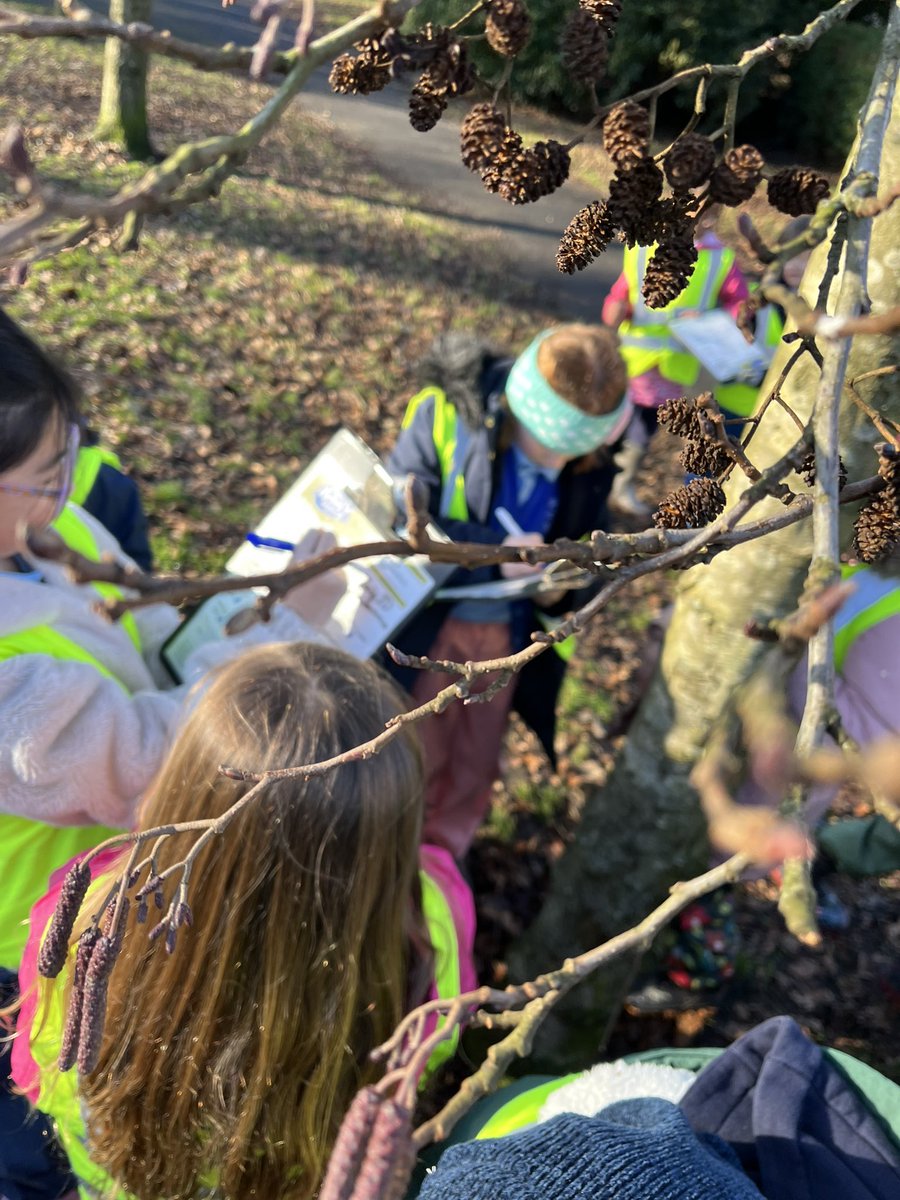 Forest School ACE tweet media