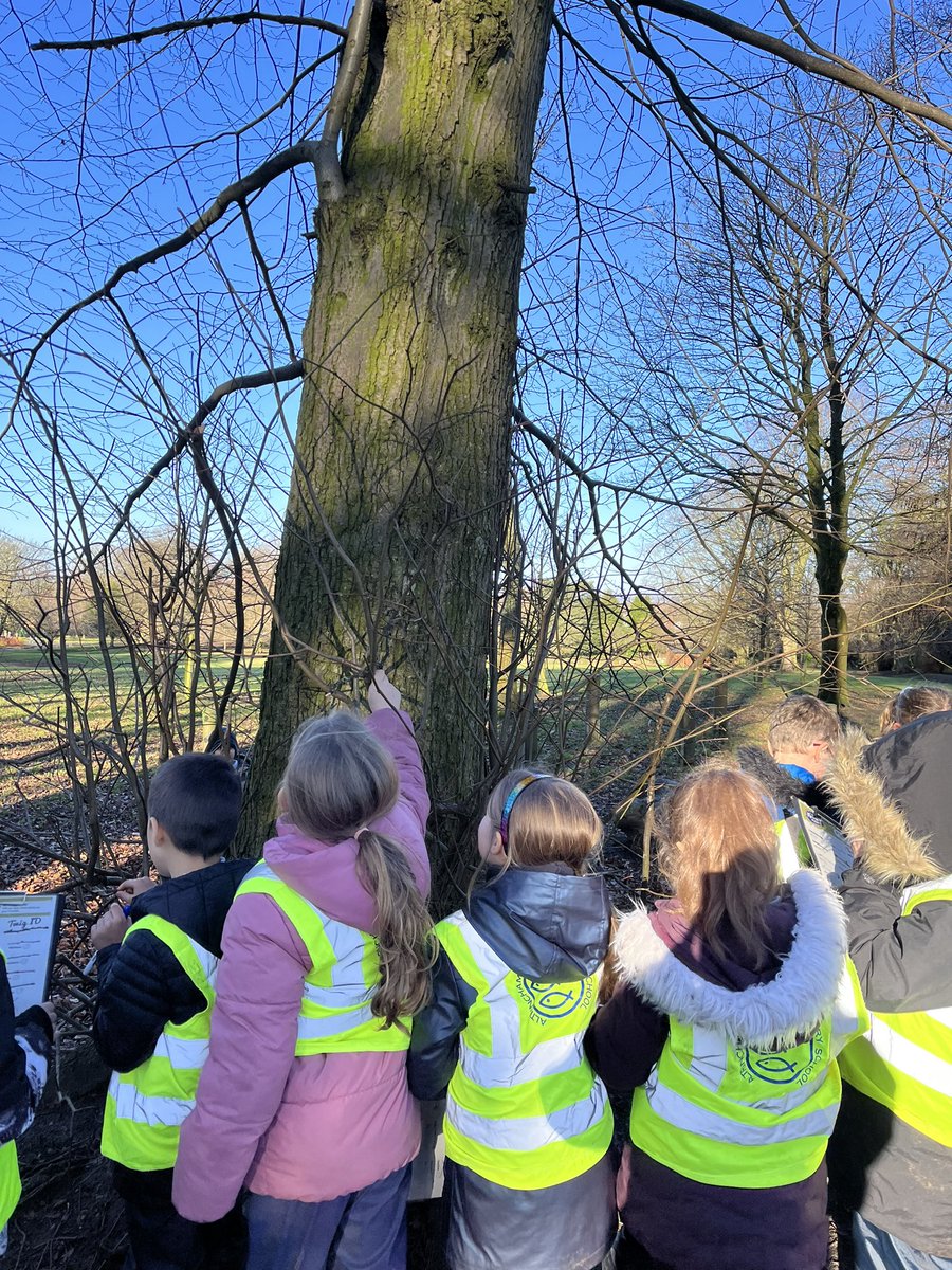 Forest School ACE tweet media