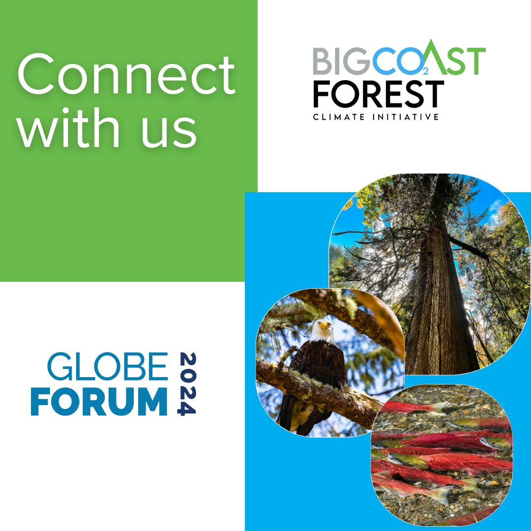 Excited for #GLOBEforum and looking forward to insights on decarbonization journeys from fellow leaders. Interested in how the BigCoast Forest Climate Initiative can support your #NetZero + #ESG goals? Connect with us or explore more at BigCoastForest.com. #NatureBased #SDGs
