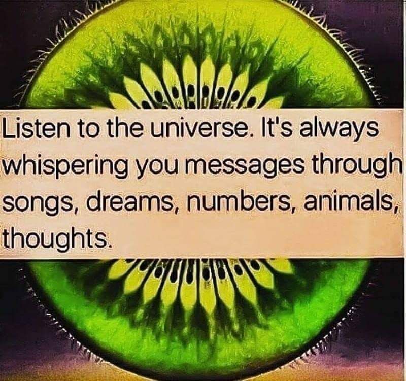 What is the universe trying to tell you?

#universeWhispers #universeMessage