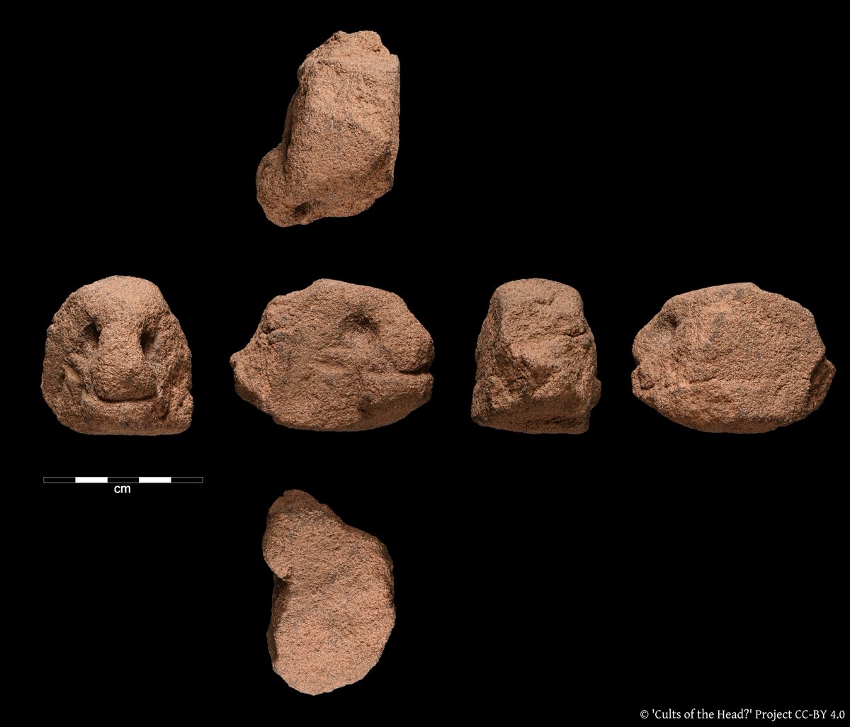 It appears as though we don't just have human imagery at Dean Hall Roman Temple, but zoomorphic imagery too. We'd love to know what you think this curious creature might represent 🐍🐗🐿️#FindsFriday