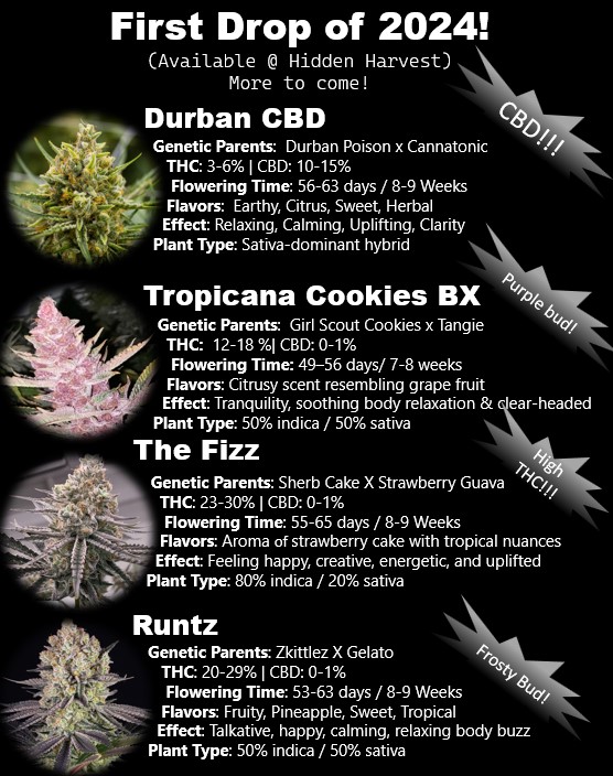 Hidden Harvest Cannabis Nursery tweet media