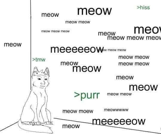 meowmeowcoin1's tweet photo. @justinsuntron @Poloniex meow meow meow meow https://t.co/0Pzcu39T4y