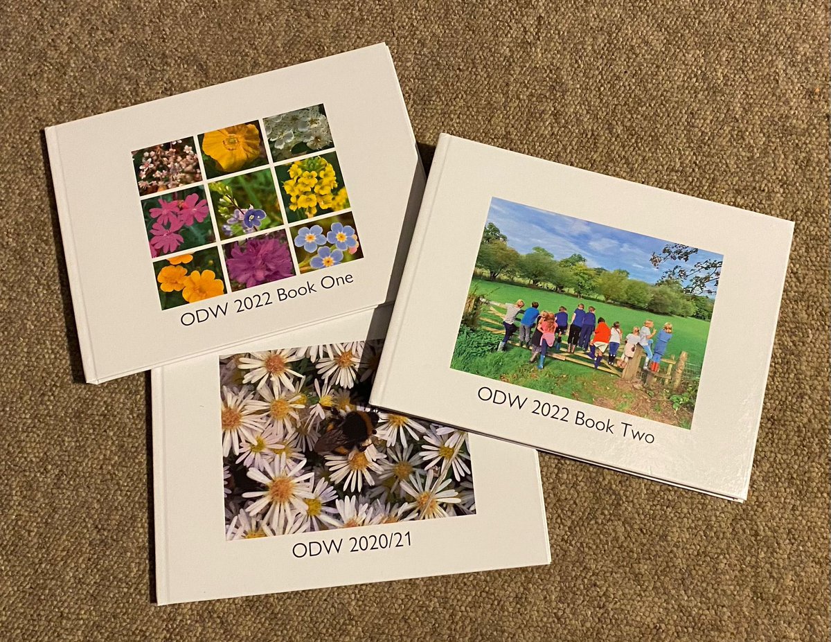 Bedales Prep ODW tweet media