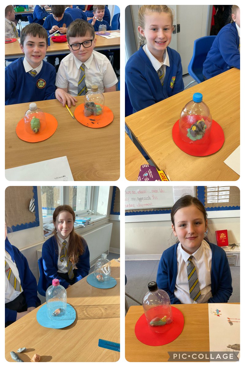 StPPPrimaryY6's tweet image. Can you believe that the cover of our new book #thebarnabusproject was only revealed once our bottles were placed on top of our characters? The likeliness is unbelievable. After two days of immersion, we can't wait to finally read the book tomorrow! 🐭🐘