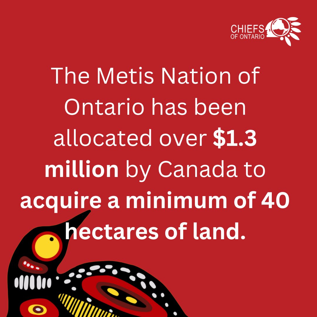 ChiefsofOntario's tweet image. The Metis Nation of Ontario has been allocated over $1.3 million by Canada to acquire a minimum of 40 hectares of land. 

This is simply just the latest example of the MNO further attempting to claim a land base that historically, has never existed in Ontario.

#BillC53