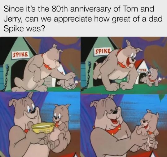 WholesomeMeme's tweet photo. https://t.co/cofcgj50S7