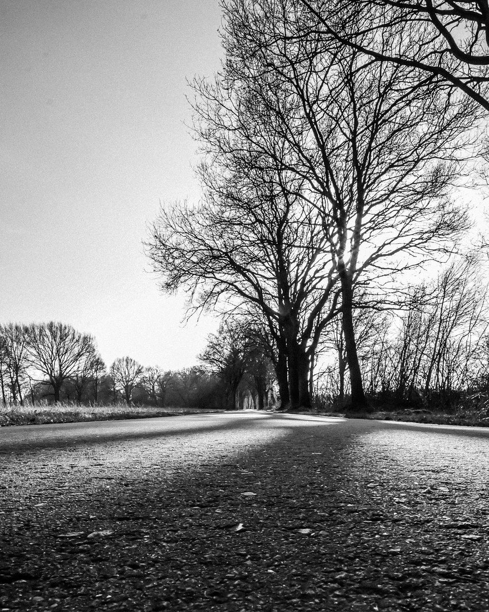 photo_fanaticus (@maikhoffmann82) on Twitter photo 