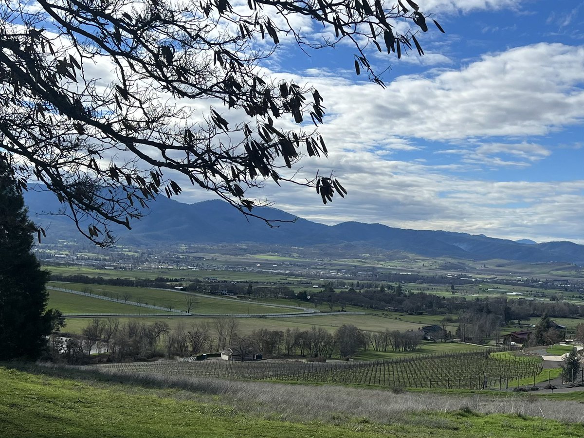 Nothing but beautiful blue skies in Southern Oregon today. 

#happyvibes #Oregon