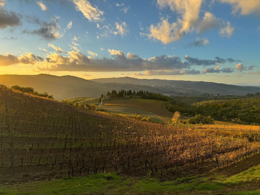 In #ChiantiClassico, the beautiful rolling hills tell the story of our history, our pride, and our future. 📸: <a href="/sebastianocc/">SebastianoCC</a>