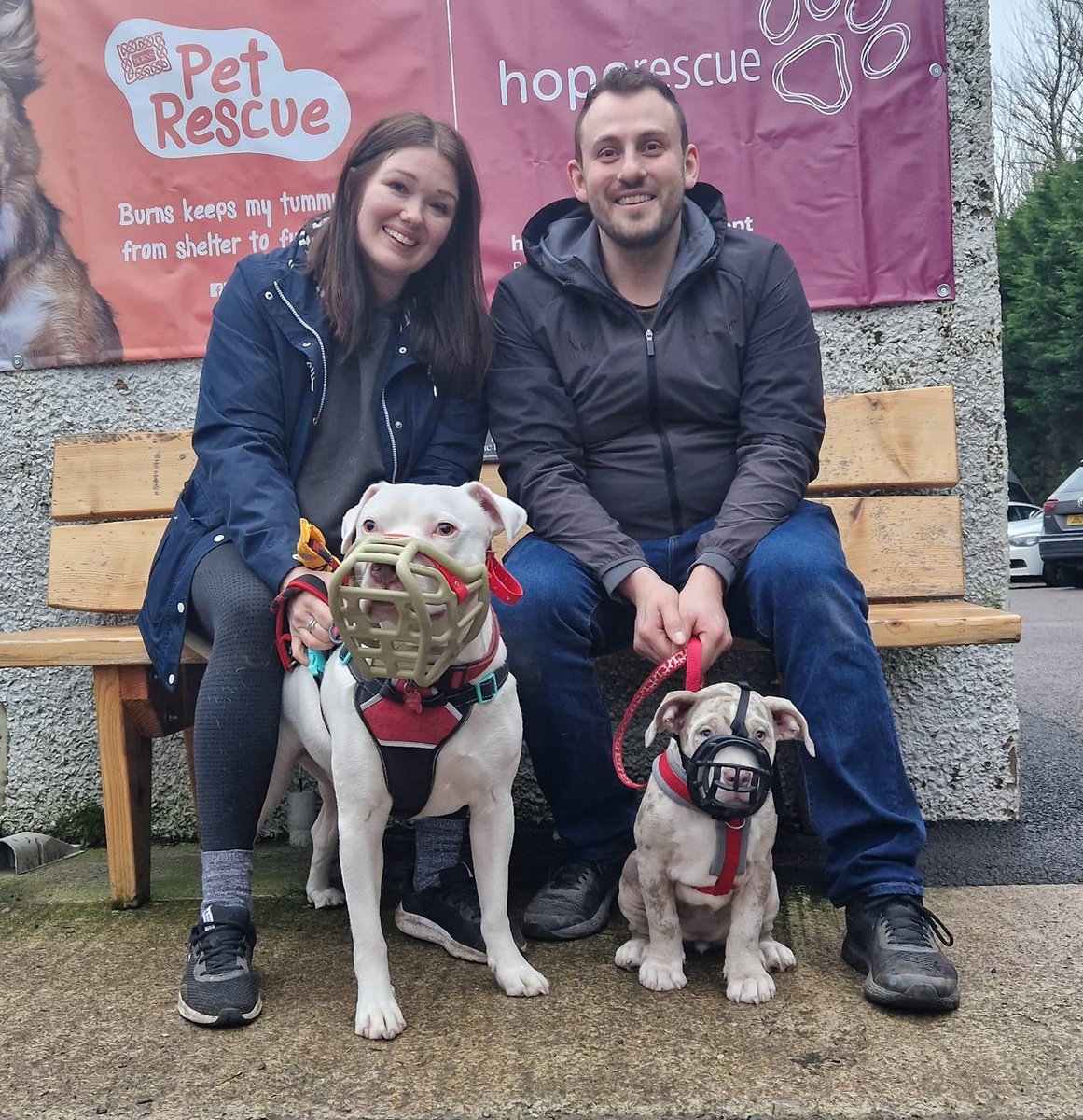 Good_vibes_up's tweet image. A PHOTO SAYS A THOUSAND WORDS 💔😭

From @HopeRescue #UK: 

This photo is both joyous and heartbreaking at the same time. Joyous, as we were able to rehome Bambi today with less than 48 hours before the self-exemption window closes. At this moment in time she clearly does not