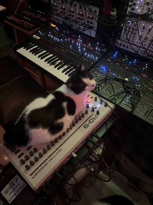 Watch hickey's leaked NSFW photo on TwXstars