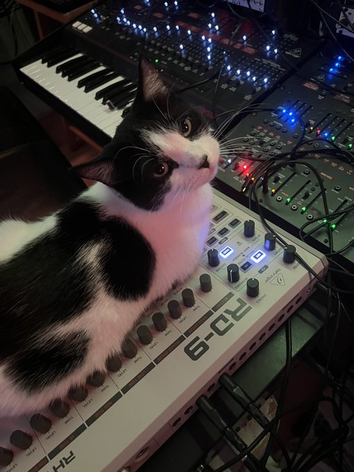 Watch hickey's leaked NSFW photo on TwXstars