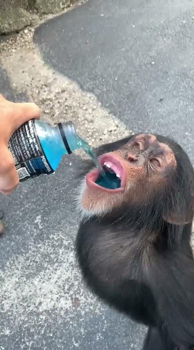 kira 👾 (@kirawontmiss) on Twitter photo 