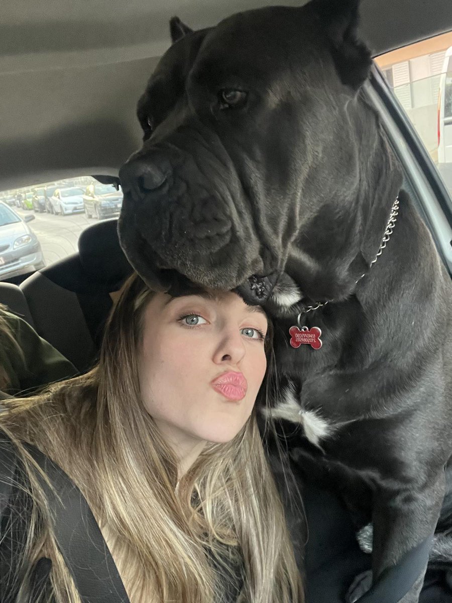 tstaikop's tweet photo. Would you dare to deal with this bodyguard of my family...??? https://t.co/M0ncxJe3g4