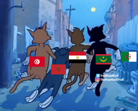 TrollFootball's tweet photo. North African teams this AFCON https://t.co/oMxQjjBHgh