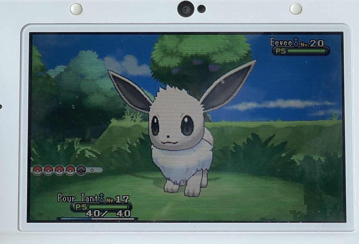 Phase 6 brings Eevee after only 177 encounters!! I am very happy with how this hunt went, it did have some low lows but also some very high highs, like this phase! Only one more team member left now

Total encounters: 24,309
Total hours: 159
Average encounters per phase: 4,052