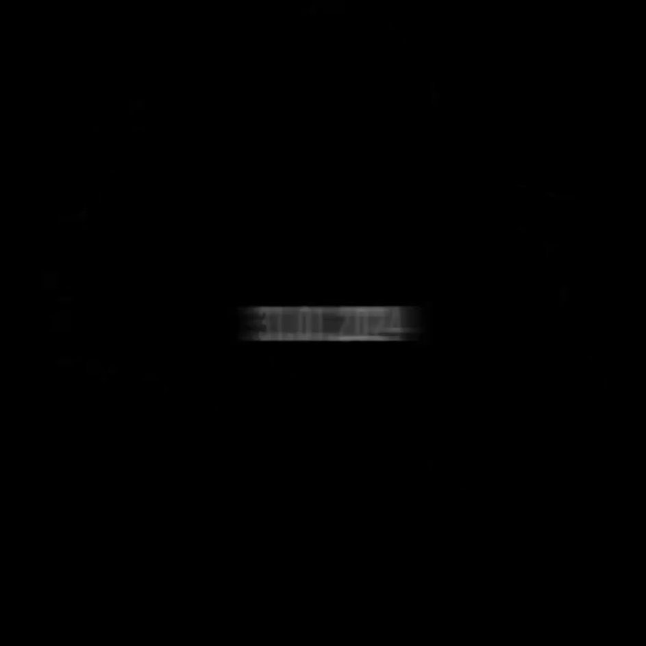 Adele appears to be teasing something with the date 31.01.2024 hidden in newly shared photo reel.